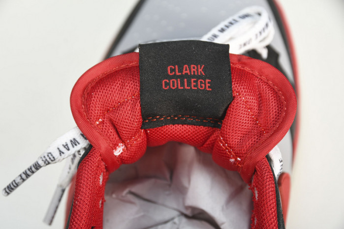 Nike Dunk Low “CAU” DR6189-001