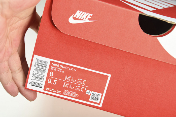 Nike Dunk Low SB DR9705-100