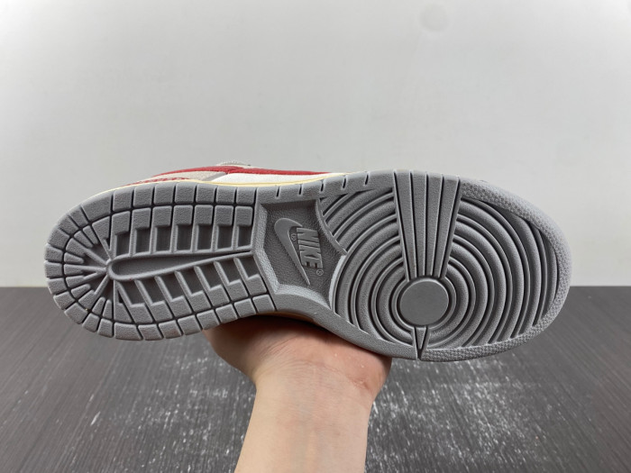 Nike Dunk SB Low FJ5429-133