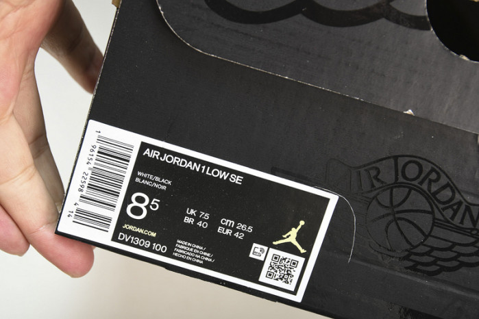 Air Jordan 1 Low “Concord”  DV1309-100