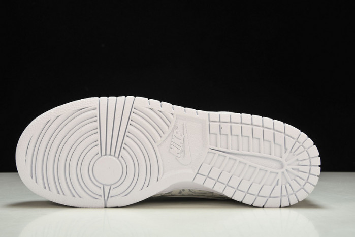 Nike Dunk Low DJ9955-100