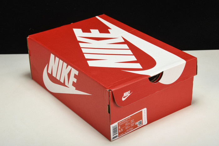 Nike Dunk Low DJ9955-100