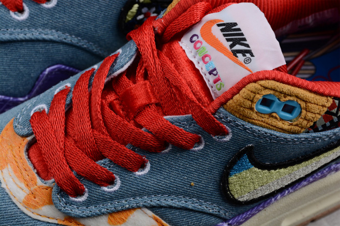 Concepts x Nike Air Max 1 DN1803-500