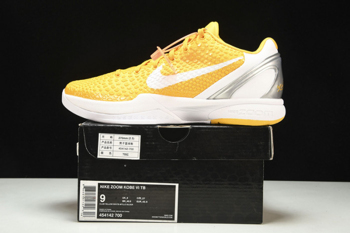 Nike Zoom Kobe VI PE Protro 6  454142-400