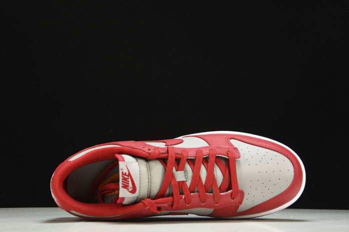 Nike Dunk Low  Retro“Medium Grey” DD1391-002