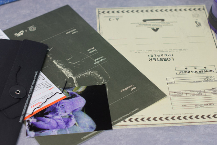 Nike SB Dunk Low Concepts Purple Lobster BV1310-555